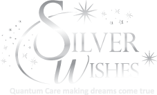 Silver Wishes